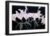 Dramatic Lilies-Sandra Iafrate-Framed Art Print