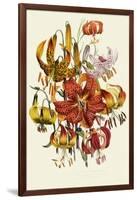 Dramatic Lilies-null-Framed Giclee Print