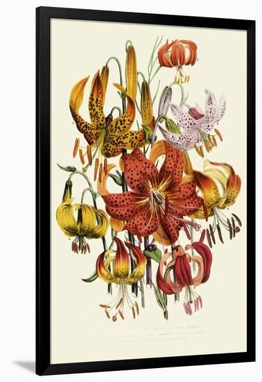 Dramatic Lilies-null-Framed Giclee Print