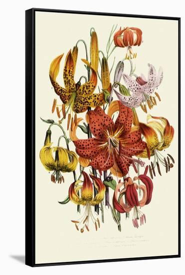 Dramatic Lilies-null-Framed Stretched Canvas