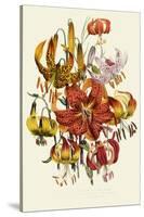 Dramatic Lilies-null-Stretched Canvas