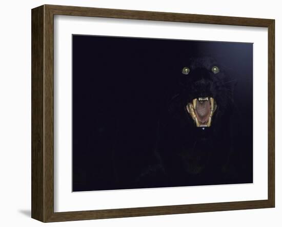 Dramatic of Black Panther, Camouflaged by Darkness, with Eyes and Open Mouth Visible-John Dominis-Framed Photographic Print