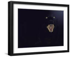 Dramatic of Black Panther, Camouflaged by Darkness, with Eyes and Open Mouth Visible-John Dominis-Framed Photographic Print