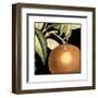 Dramatic Orange-Vision Studio-Framed Art Print