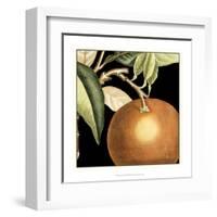 Dramatic Orange-Vision Studio-Framed Art Print