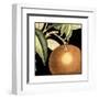 Dramatic Orange-Vision Studio-Framed Art Print