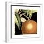 Dramatic Orange-Vision Studio-Framed Art Print