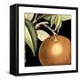 Dramatic Orange-Vision Studio-Framed Stretched Canvas