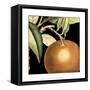 Dramatic Orange-Vision Studio-Framed Stretched Canvas