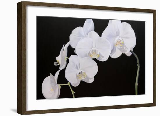 Dramatic Orchids I-Sandra Iafrate-Framed Art Print