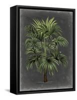 Dramatic Palm I-Vision Studio-Framed Stretched Canvas