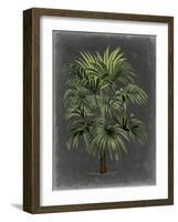 Dramatic Palm I-Vision Studio-Framed Art Print