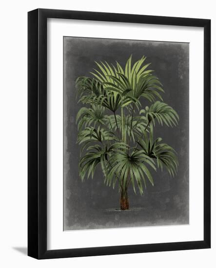 Dramatic Palm I-Vision Studio-Framed Art Print