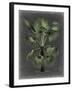 Dramatic Palm II-Vision Studio-Framed Art Print