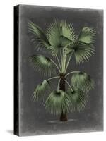 Dramatic Palm II-Vision Studio-Stretched Canvas