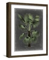 Dramatic Palm II-Vision Studio-Framed Art Print