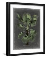 Dramatic Palm II-Vision Studio-Framed Art Print