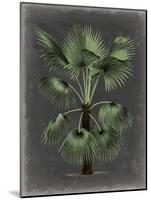 Dramatic Palm II-Vision Studio-Mounted Art Print