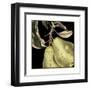 Dramatic Pear-Vision Studio-Framed Art Print