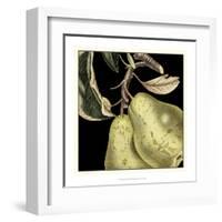 Dramatic Pear-Vision Studio-Framed Art Print