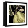 Dramatic Pear-Vision Studio-Framed Stretched Canvas