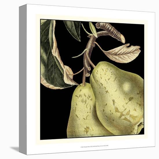 Dramatic Pear-Vision Studio-Stretched Canvas