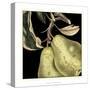 Dramatic Pear-Vision Studio-Stretched Canvas