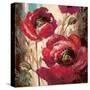Dramatic Poppy-Brent Heighton-Stretched Canvas