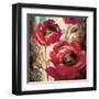 Dramatic Poppy-Brent Heighton-Framed Art Print