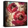 Dramatic Poppy-Brent Heighton-Framed Stretched Canvas