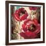 Dramatic Poppy-Brent Heighton-Framed Art Print