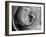 Dramatic Rose-Nicole Katano-Framed Photo