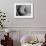 Dramatic Rose-Nicole Katano-Framed Photo displayed on a wall