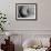 Dramatic Rose-Nicole Katano-Framed Photo displayed on a wall