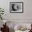 Dramatic Rose-Nicole Katano-Framed Photo displayed on a wall