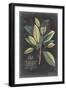 Dramatic Royal Botanical VI-George Ehret-Framed Art Print