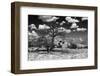 Dramatic Scenery in New Mexico-Martina Roth Kunst-Foto-Design-Framed Photographic Print