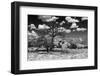 Dramatic Scenery in New Mexico-Martina Roth Kunst-Foto-Design-Framed Photographic Print