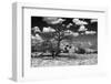 Dramatic Scenery in New Mexico-Martina Roth Kunst-Foto-Design-Framed Photographic Print