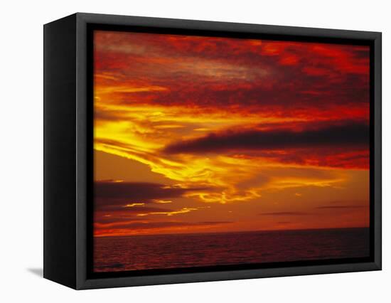 Dramatic Sky and Red Clouds at Sunset, Antarctica,, Polar Regions-David Tipling-Framed Stretched Canvas