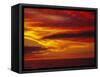 Dramatic Sky and Red Clouds at Sunset, Antarctica,, Polar Regions-David Tipling-Framed Stretched Canvas