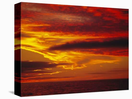 Dramatic Sky and Red Clouds at Sunset, Antarctica,, Polar Regions-David Tipling-Stretched Canvas