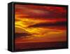 Dramatic Sky and Red Clouds at Sunset, Antarctica,, Polar Regions-David Tipling-Framed Stretched Canvas