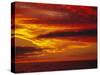 Dramatic Sky and Red Clouds at Sunset, Antarctica,, Polar Regions-David Tipling-Stretched Canvas