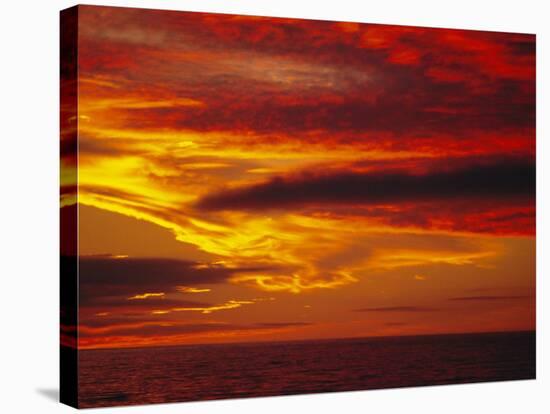 Dramatic Sky and Red Clouds at Sunset, Antarctica,, Polar Regions-David Tipling-Stretched Canvas