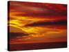 Dramatic Sky and Red Clouds at Sunset, Antarctica,, Polar Regions-David Tipling-Stretched Canvas