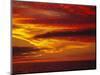 Dramatic Sky and Red Clouds at Sunset, Antarctica,, Polar Regions-David Tipling-Mounted Photographic Print