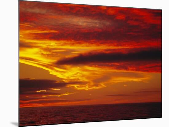 Dramatic Sky and Red Clouds at Sunset, Antarctica,, Polar Regions-David Tipling-Mounted Photographic Print