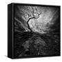 Dramatic Sky over Old Lonely Tree-NejroN Photo-Framed Stretched Canvas