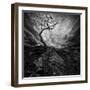 Dramatic Sky over Old Lonely Tree-NejroN Photo-Framed Photographic Print